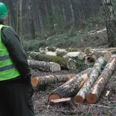 Gdzie zgłosić uszkodzenie ogrodzenia? Sprawdź, jak uniknąć strat
