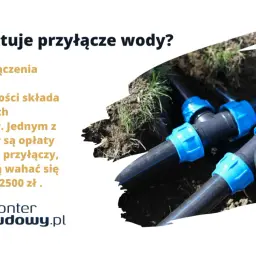 Systemy przyłącza wody z niebieskimi złączkami w ziemi. Koszt podłączenia wody do nieruchomości może wahać się od 1200 do 2500 zł.